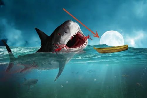 آموزش طراحی صحنه شکار کوسه در فتوشاپ